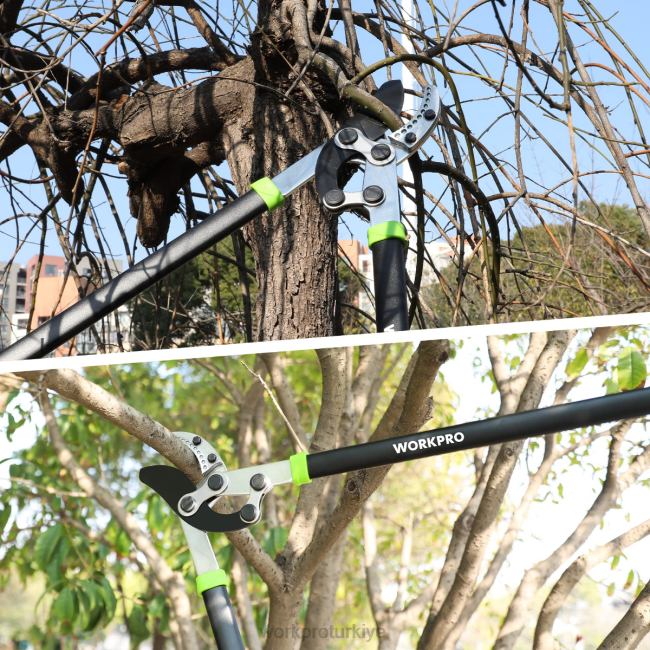 alet WORKPRO örs budama makası, bileşik hareketli 32 inç dal kesici, ağır hizmet tipi bahçe ağaç kesme makinesi modern LJR6282