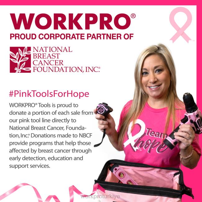 depolamak WORKPRO 16 inç alet kutusu, metal mandallı ve çıkarılabilir tepsili plastik alet kutusu pembe LJR623