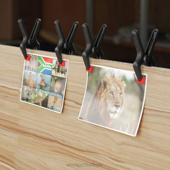 alet WORKPRO Ağaç işleri, fotoğraf stüdyoları ve kendin yap işleri için 16 adet naylon yaylı kelepçe seti modern LJR6125